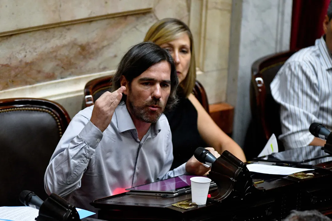 Cámara de Diputados, ley Bases 2.jpg