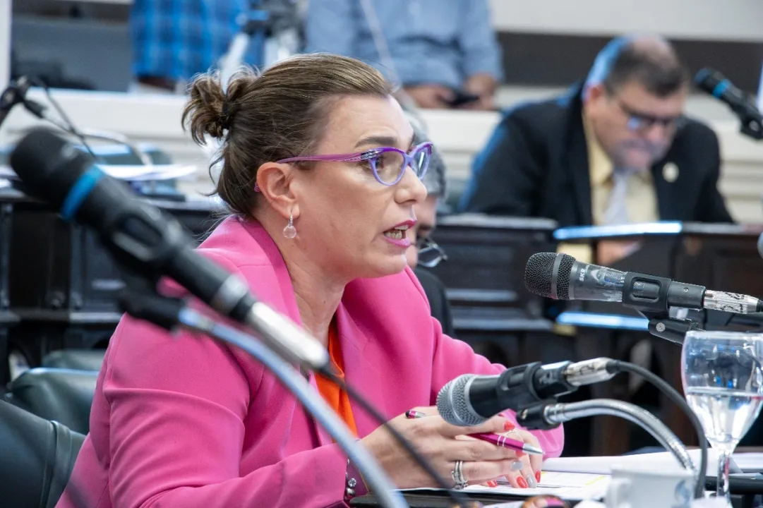 Alicia Meixner, Diputados aprobó el Presupuesto 2024 4.jpg