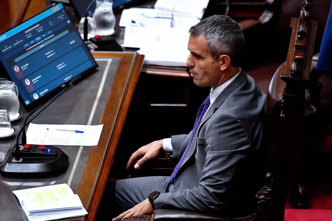 Cámara de Diputados, ley Bases 4.jpg