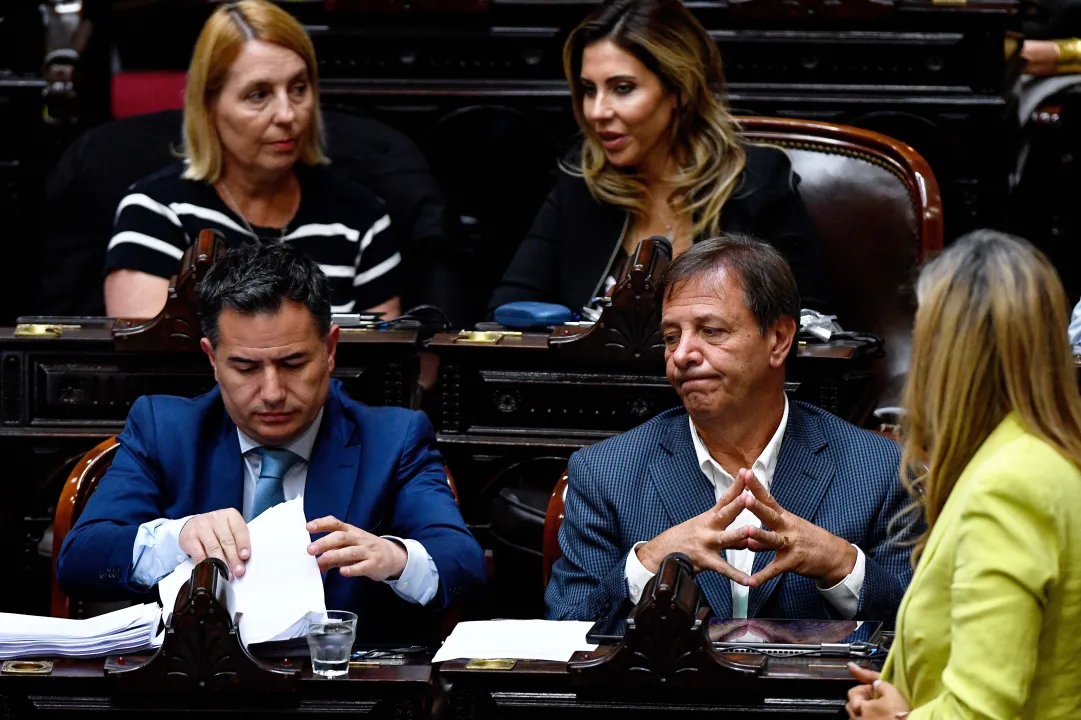 Cámara de Diputados, ley Bases 5.jpg