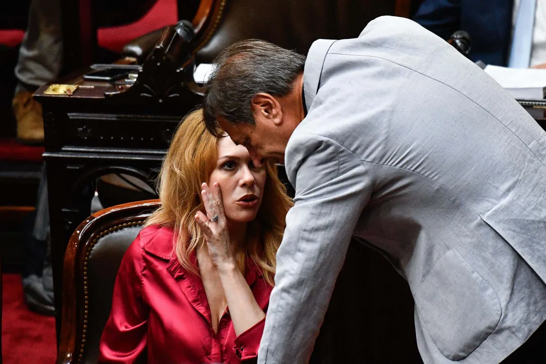 Ley de Ómnibus, Cámara de Diputados 2.jpg