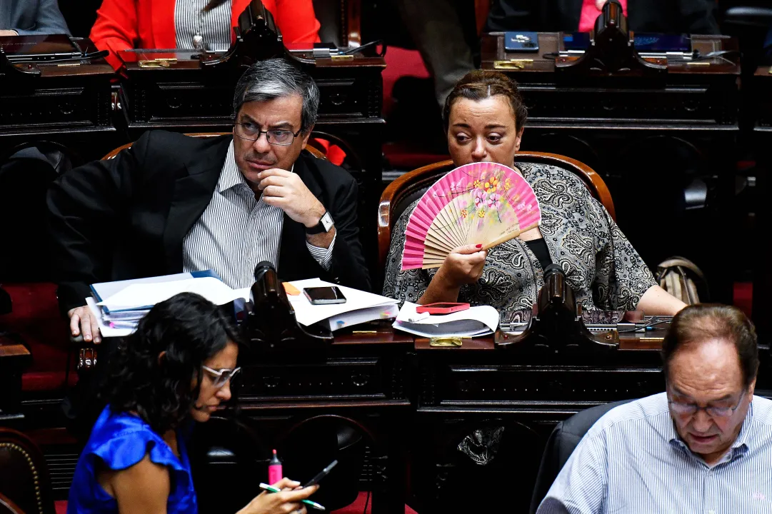 Cámara de Diputados, ley ómnibus 6.jpg