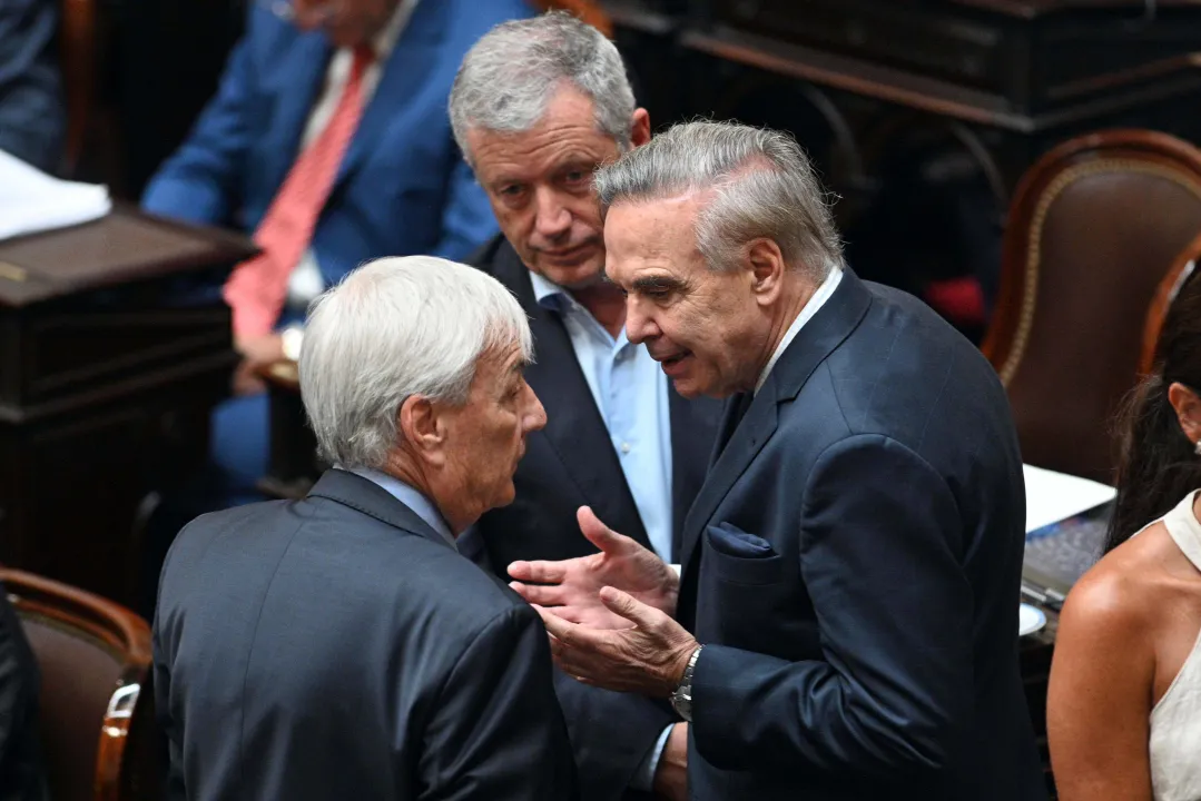 Ley de Ómnibus, Cámara de Diputados 3.jpg