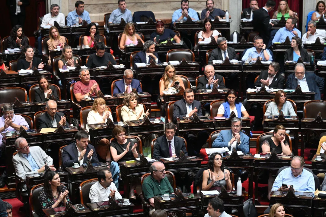 Ley de Ómnibus, Cámara de Diputados 4.jpg