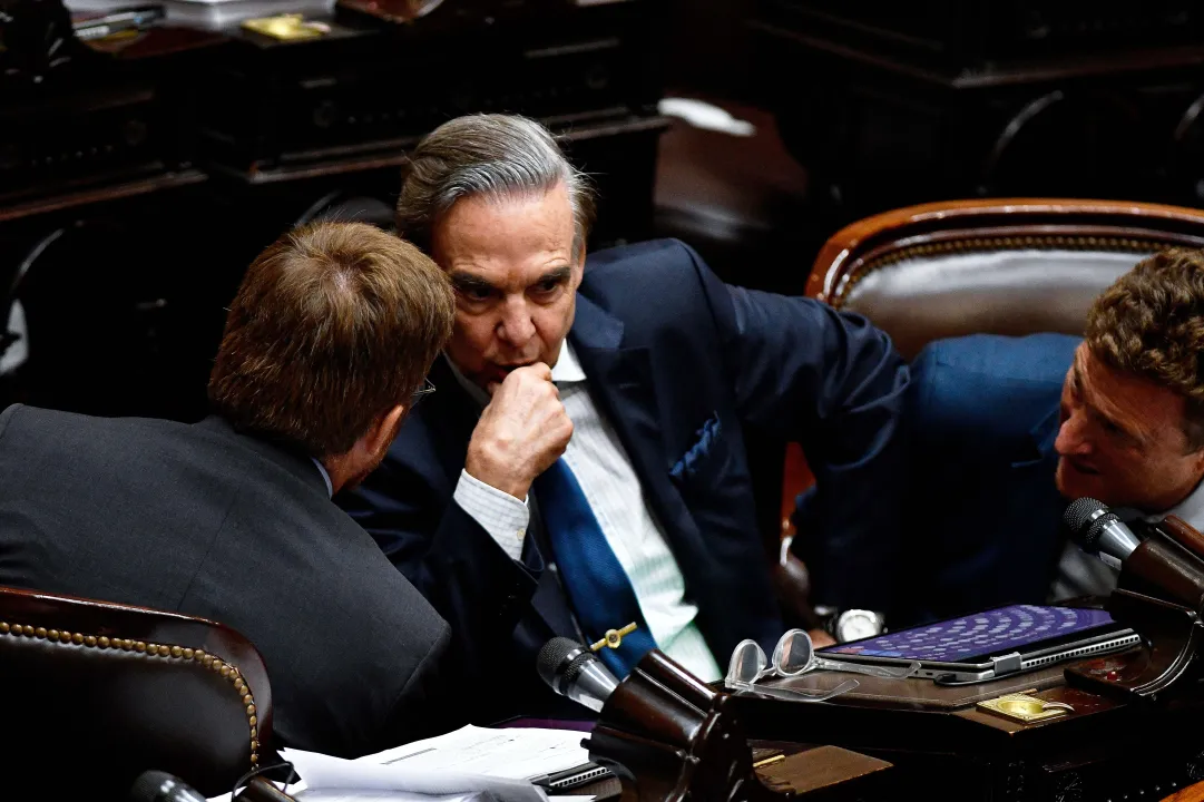 Cámara de Diputados, ley Bases.jpg